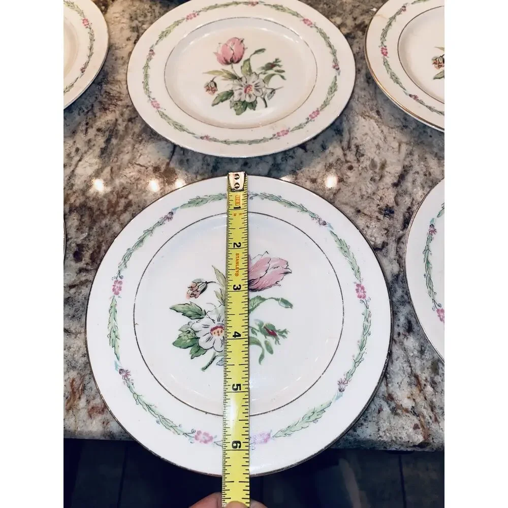 20 Theodore Haviland China New York Garden Flower Dinner Plates Lot Set Vintage